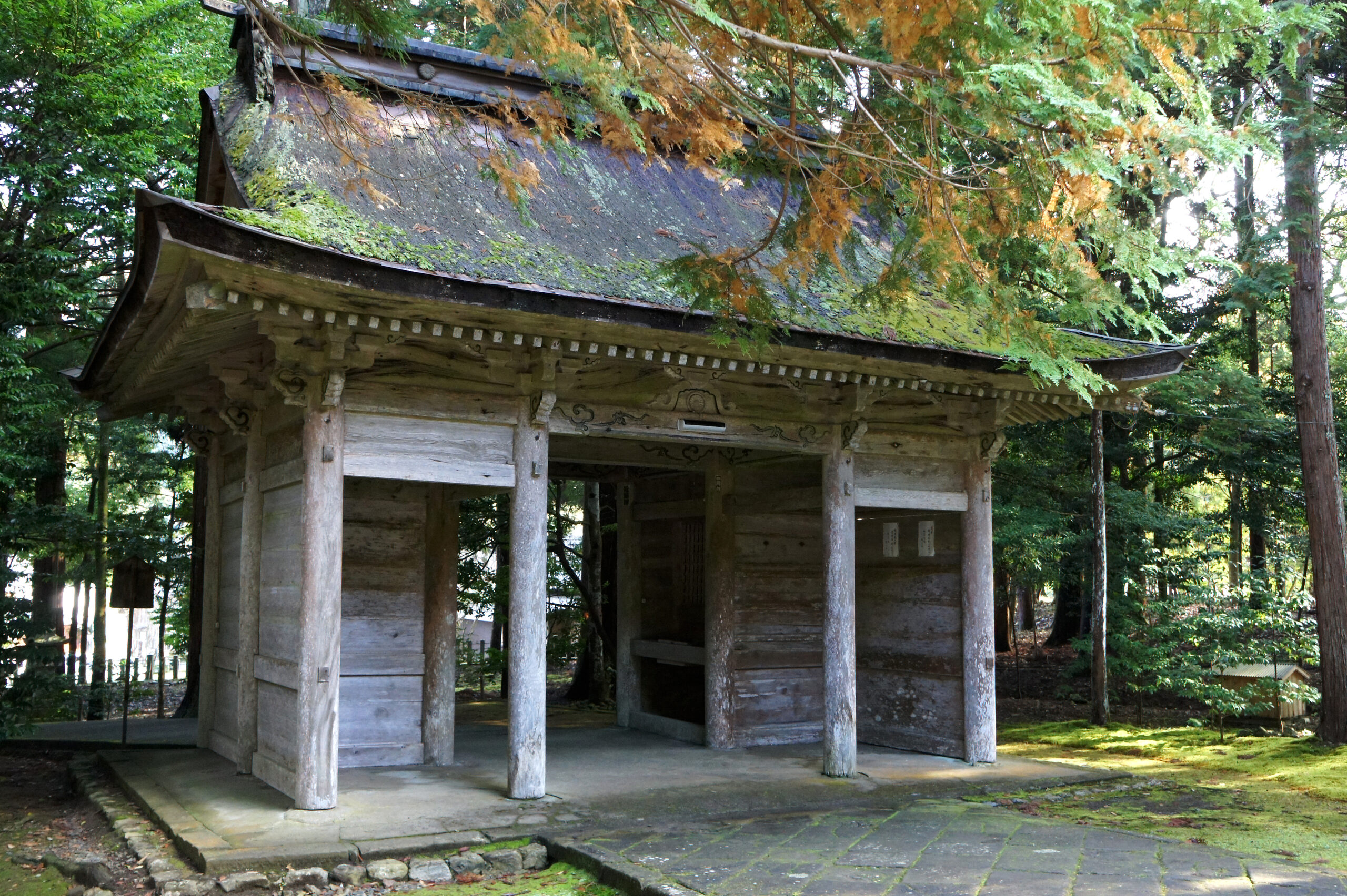 若狭彦神社上社の神門と周囲の社叢林