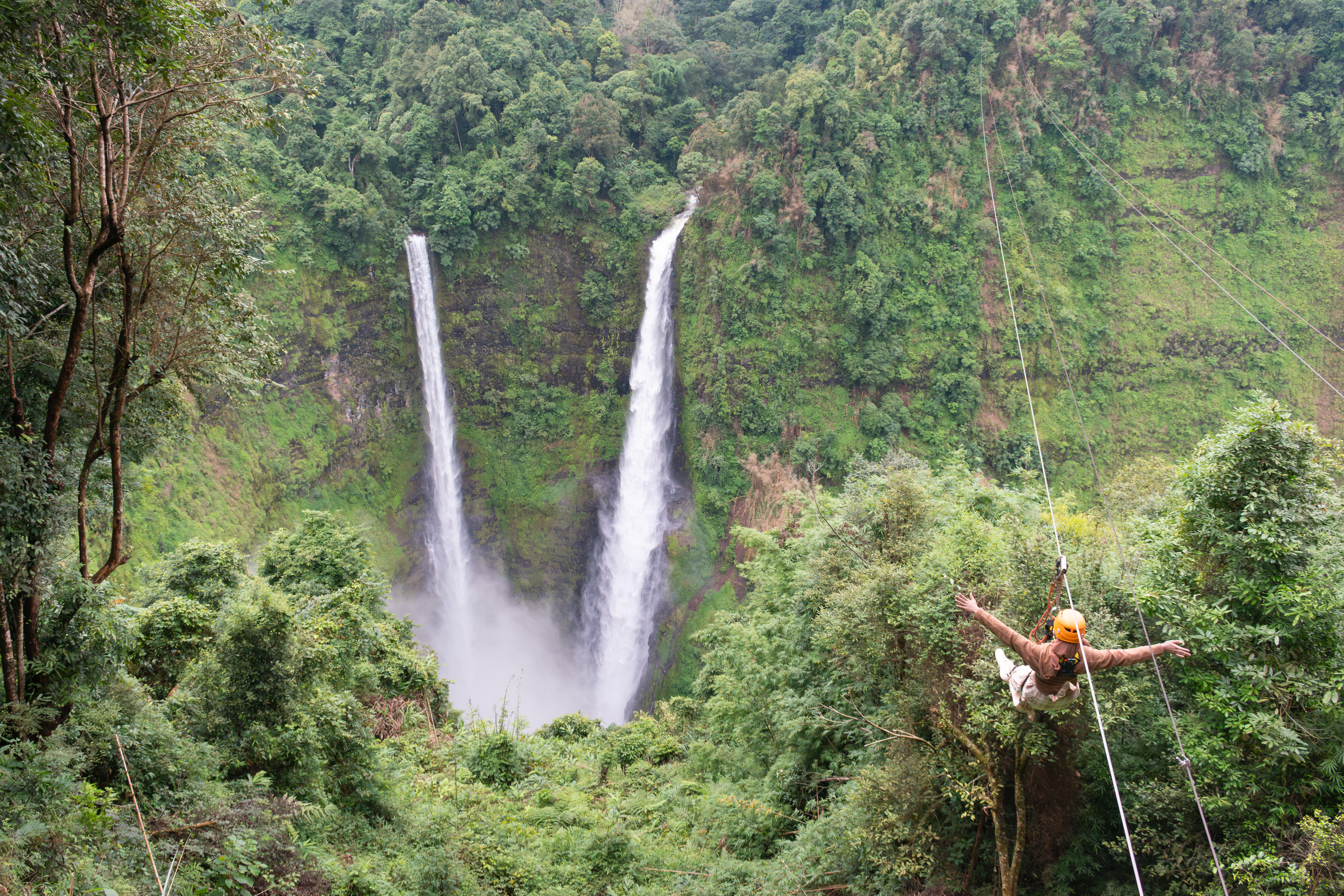 森の中を滑走するジップラインの体験イメージ
