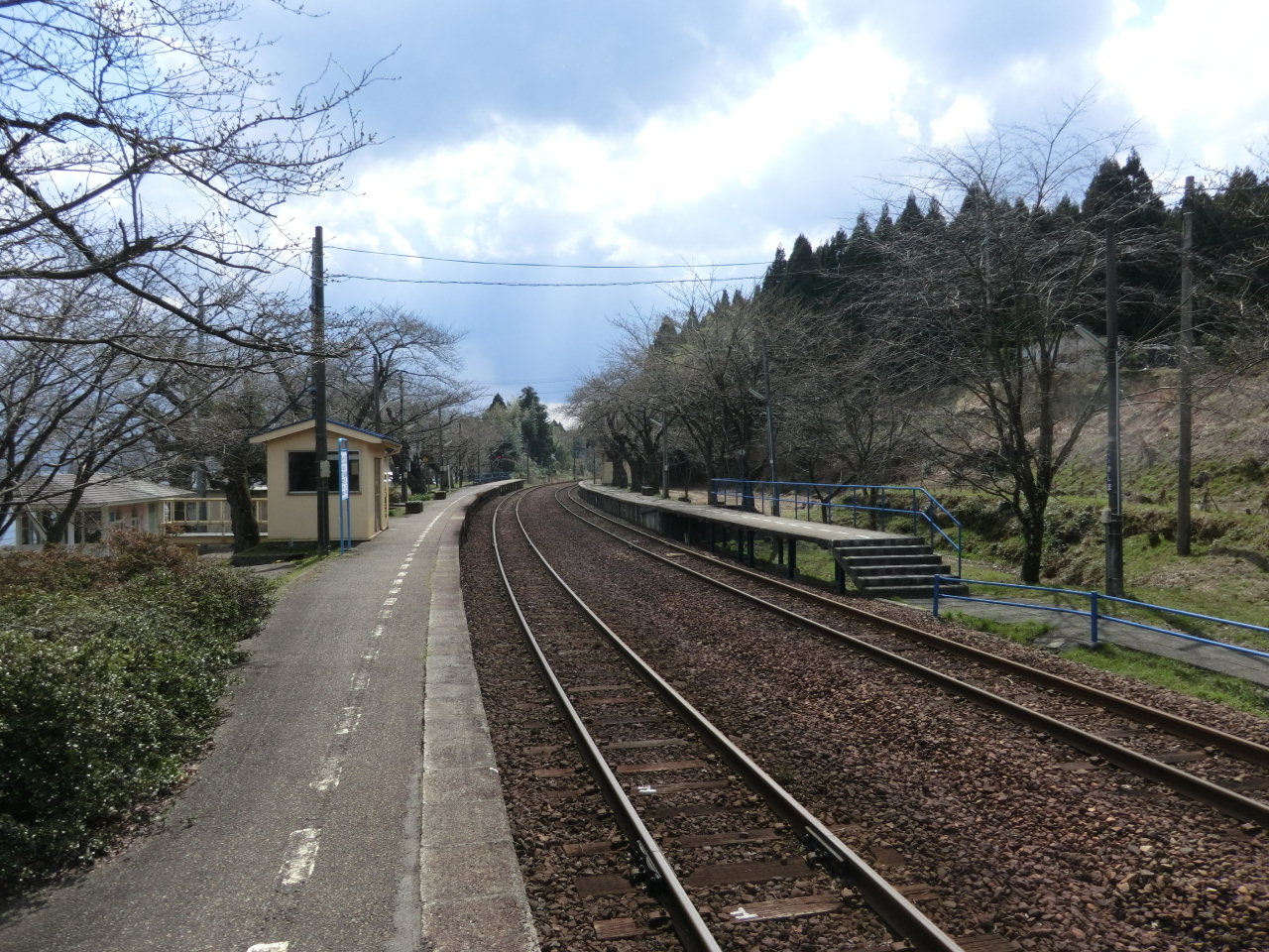 能登さくら駅（能登鹿島駅）のホームに咲く桜のトンネル