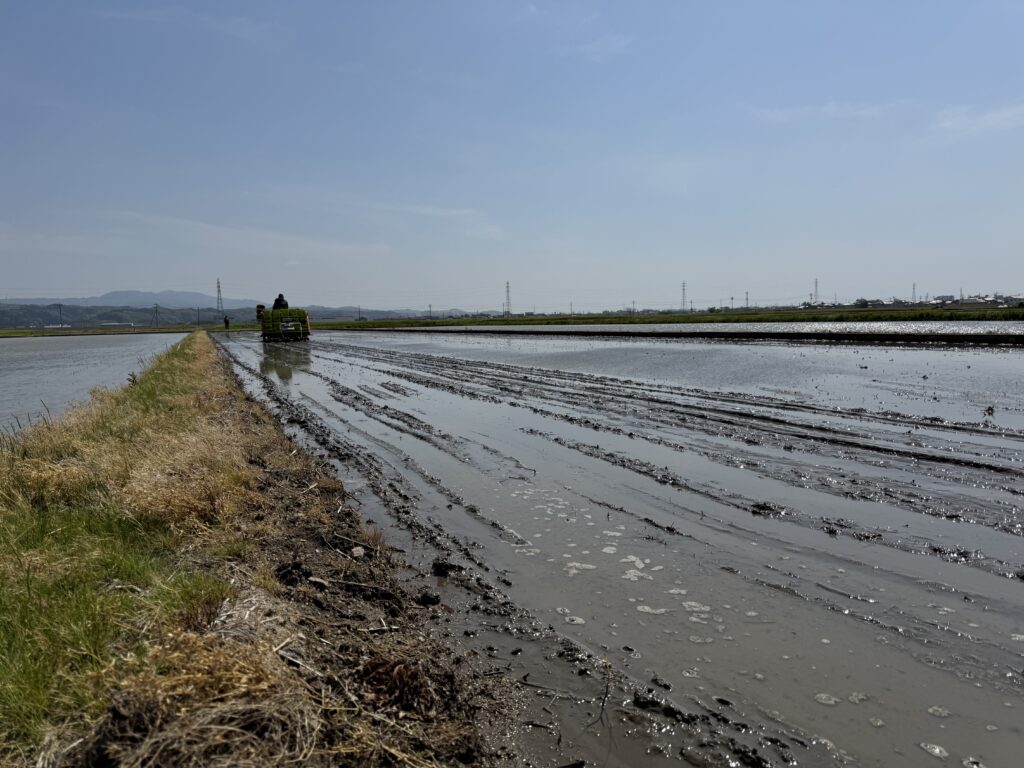 田植え機で田んぼに条間の跡をつける作業