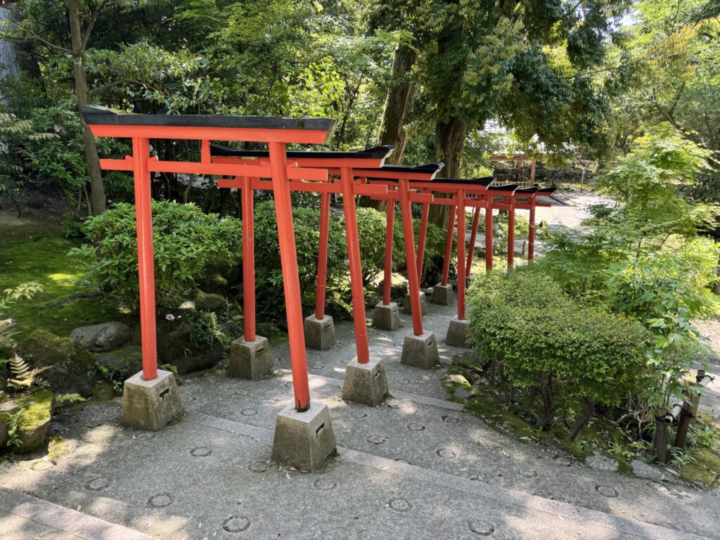 金澤神社境内に奉納された小さな鳥居が並ぶ