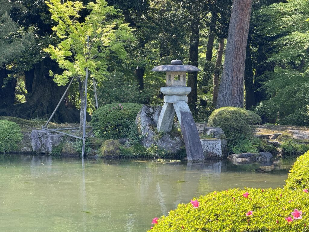 霞ヶ池のほとりに立つ兼六園のシンボル・徽軫灯籠（ことじとうろう）
