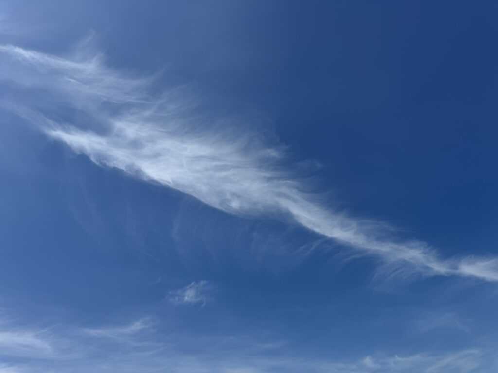 兼六園の上空に広がる龍のような形の雲