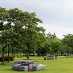 木場潟公園の遊歩道と潟湖の水辺風景（小松市）
