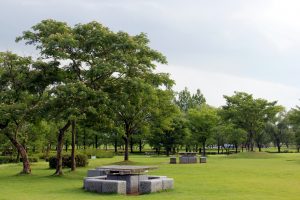 木場潟公園の遊歩道と潟湖の水辺風景(小松市)