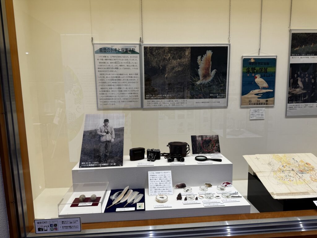 村本義雄さんの遺品とトキの標本を並べた展示ケース