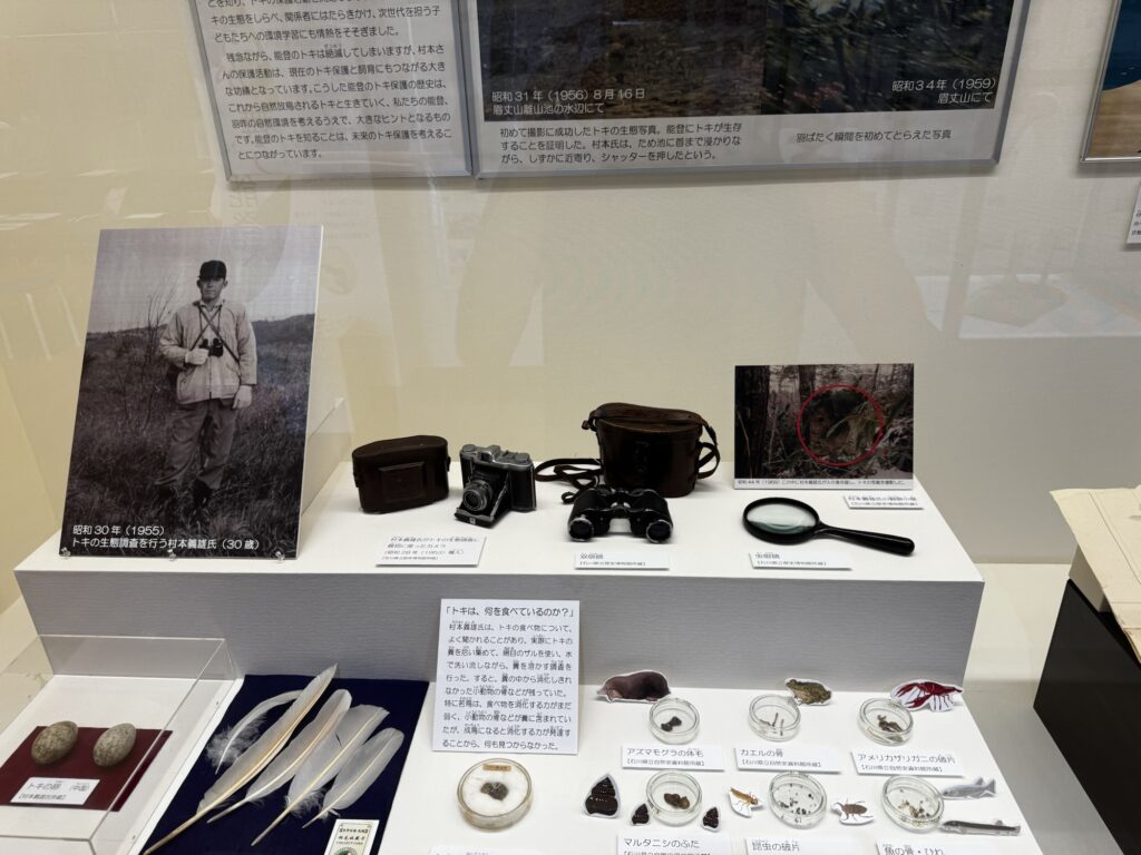 村本義雄さんがトキの調査に使ったカメラ・双眼鏡・虫眼鏡
