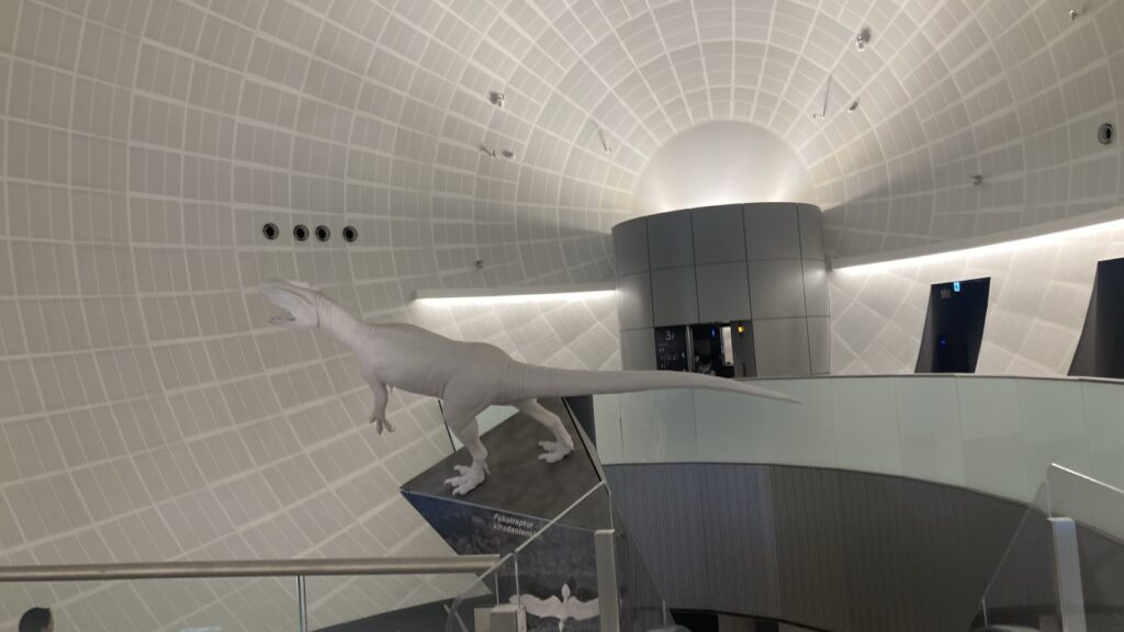 福井県立恐竜博物館のドーム型展示室に立つフクイラプトルの全身復元模型